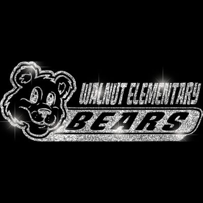 GLT102 SILVER GLITTER Thumbnail