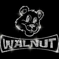 GLT94 SILVER GLITTER Thumbnail