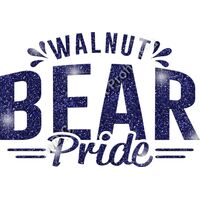 GLT62 BLUE GLITTER Thumbnail